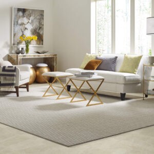 Area Rug | The Carpet Stop