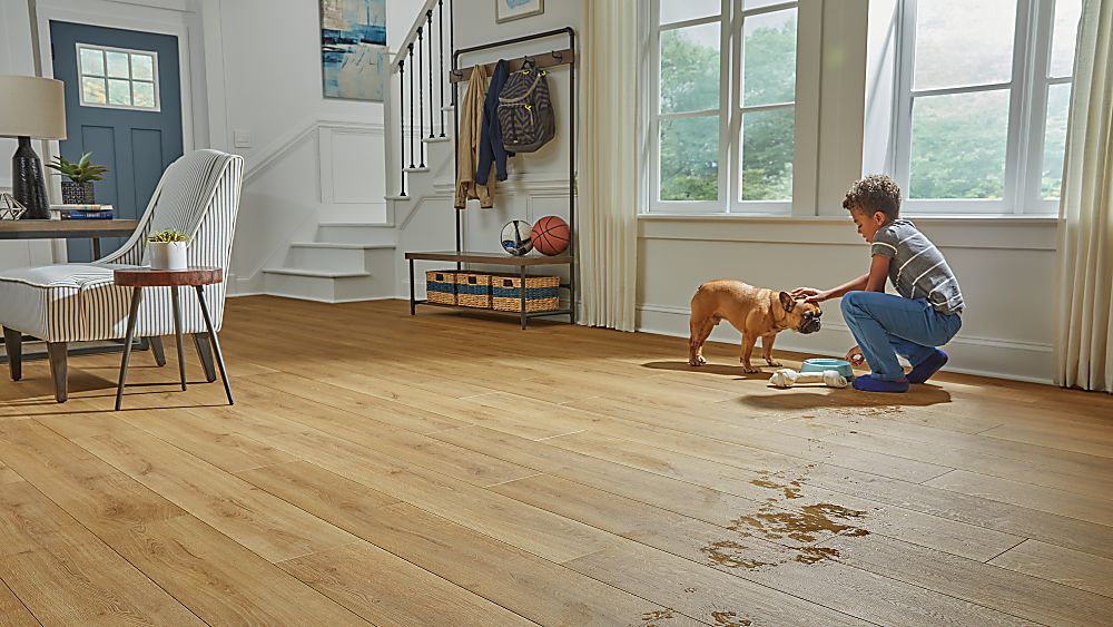 Wood-look laminate flooring in a family living space with a child and dog